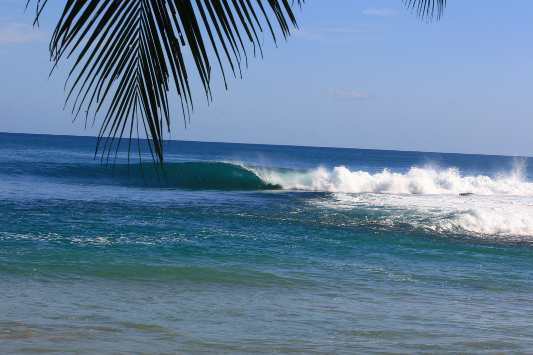 Tropical right