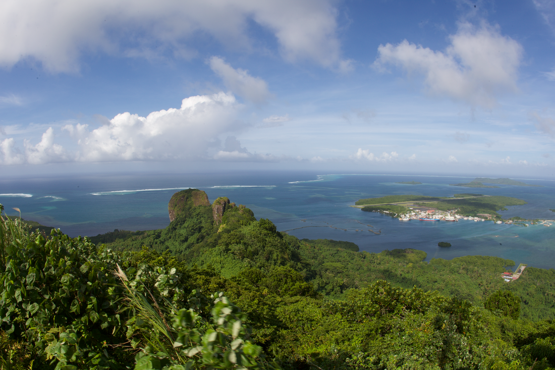 Skyhigh paradise