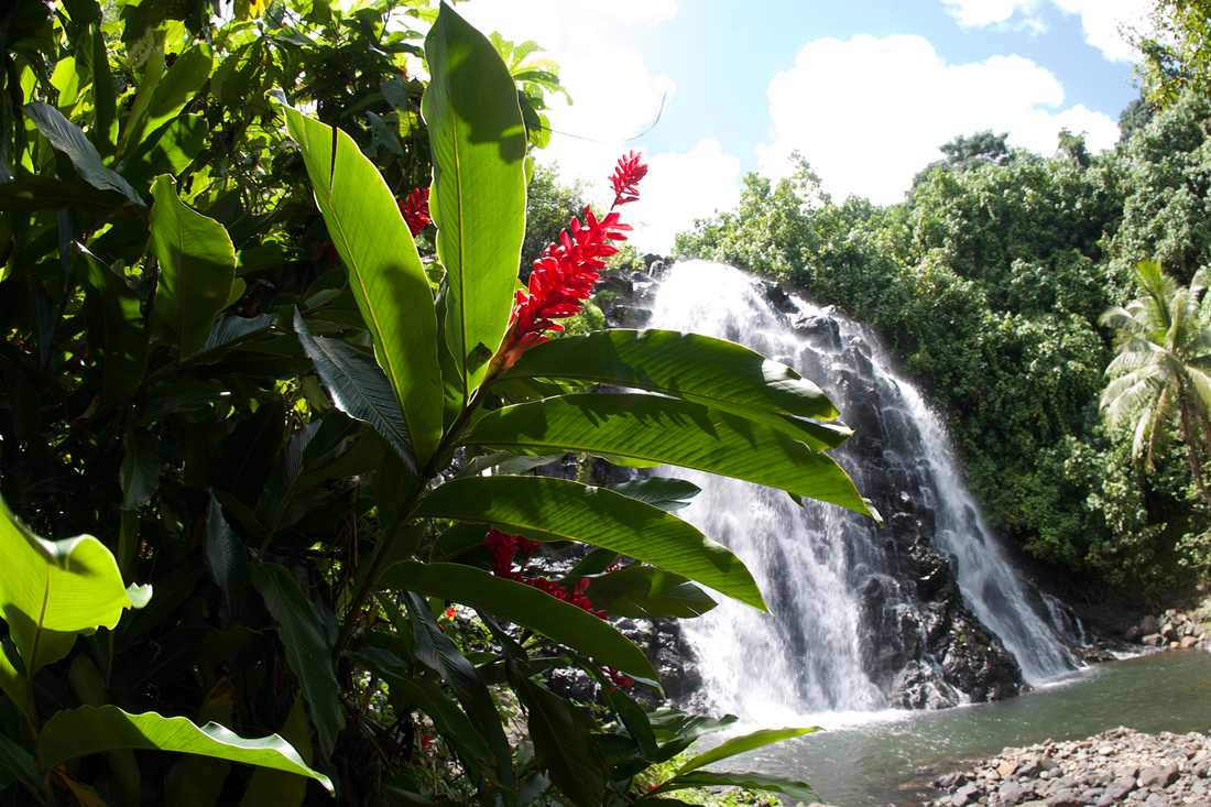 Waterfall