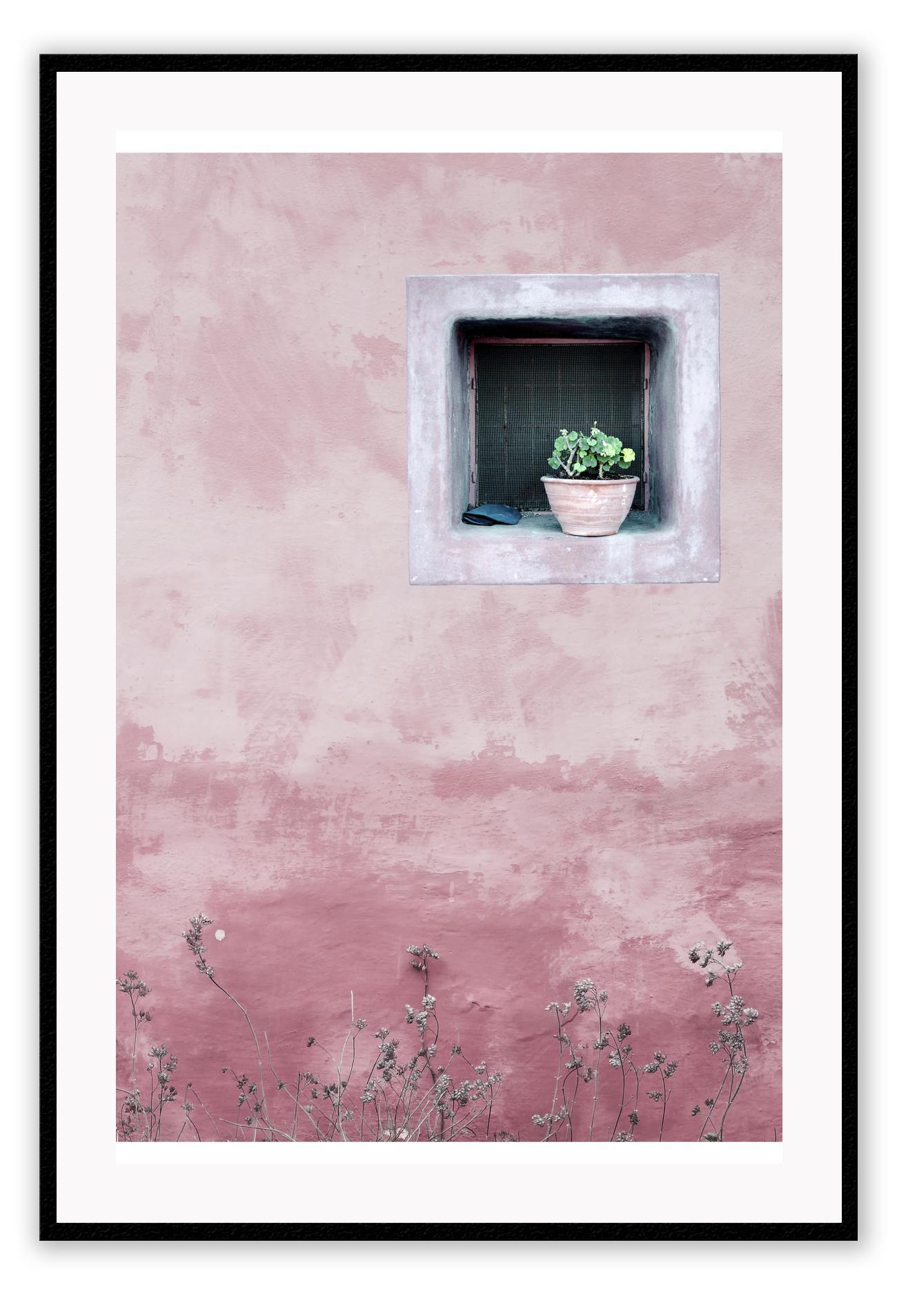 Minimal boho pink window portrait with green succulent in morocco texture architecture 