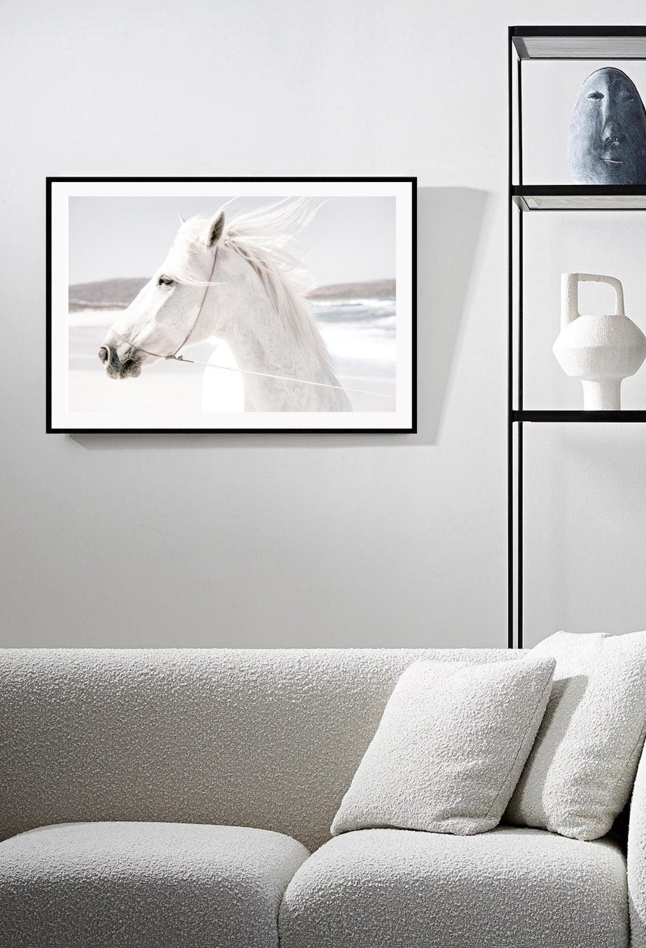 A framed print of a white horse with a landscape background, mounted in a black frame.