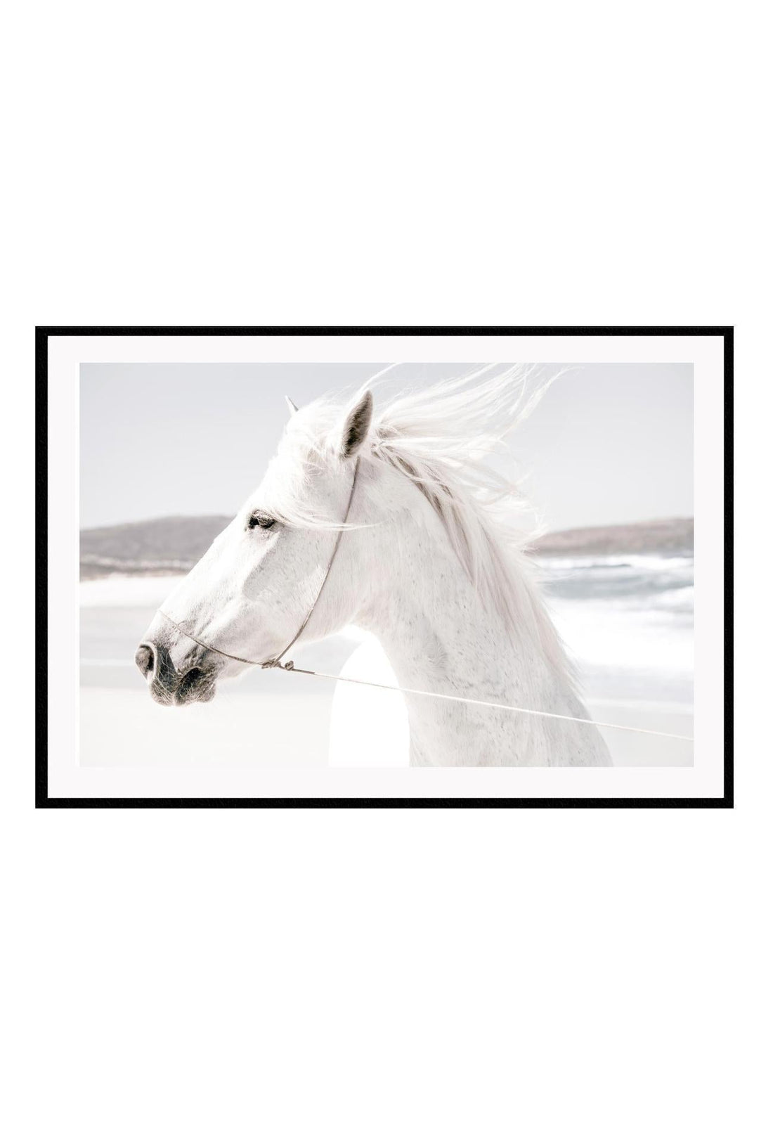 A framed print of a white horse with a landscape background, mounted in a black frame.