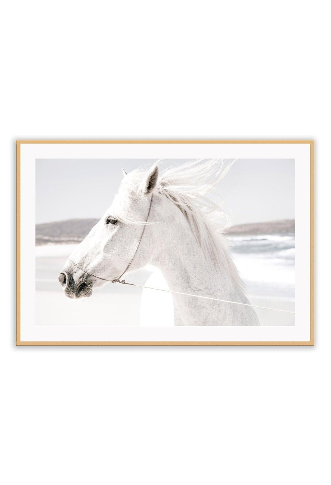 A framed print of a white horse with a landscape background, mounted in a black frame.