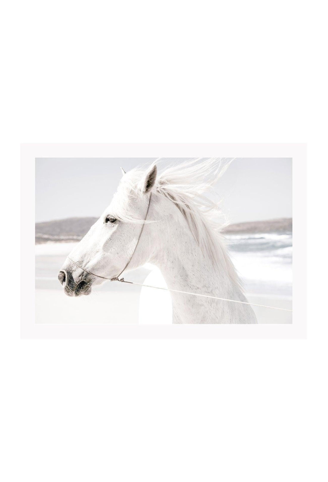 A framed print of a white horse with a landscape background, mounted in a black frame.
