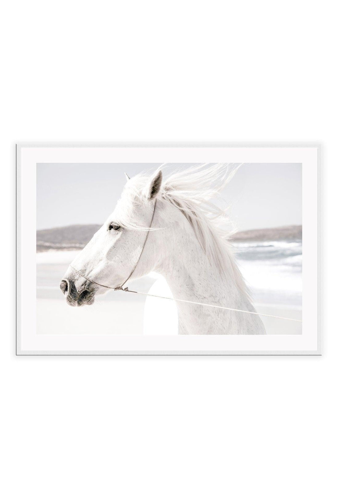 A framed print of a white horse with a landscape background, mounted in a black frame.