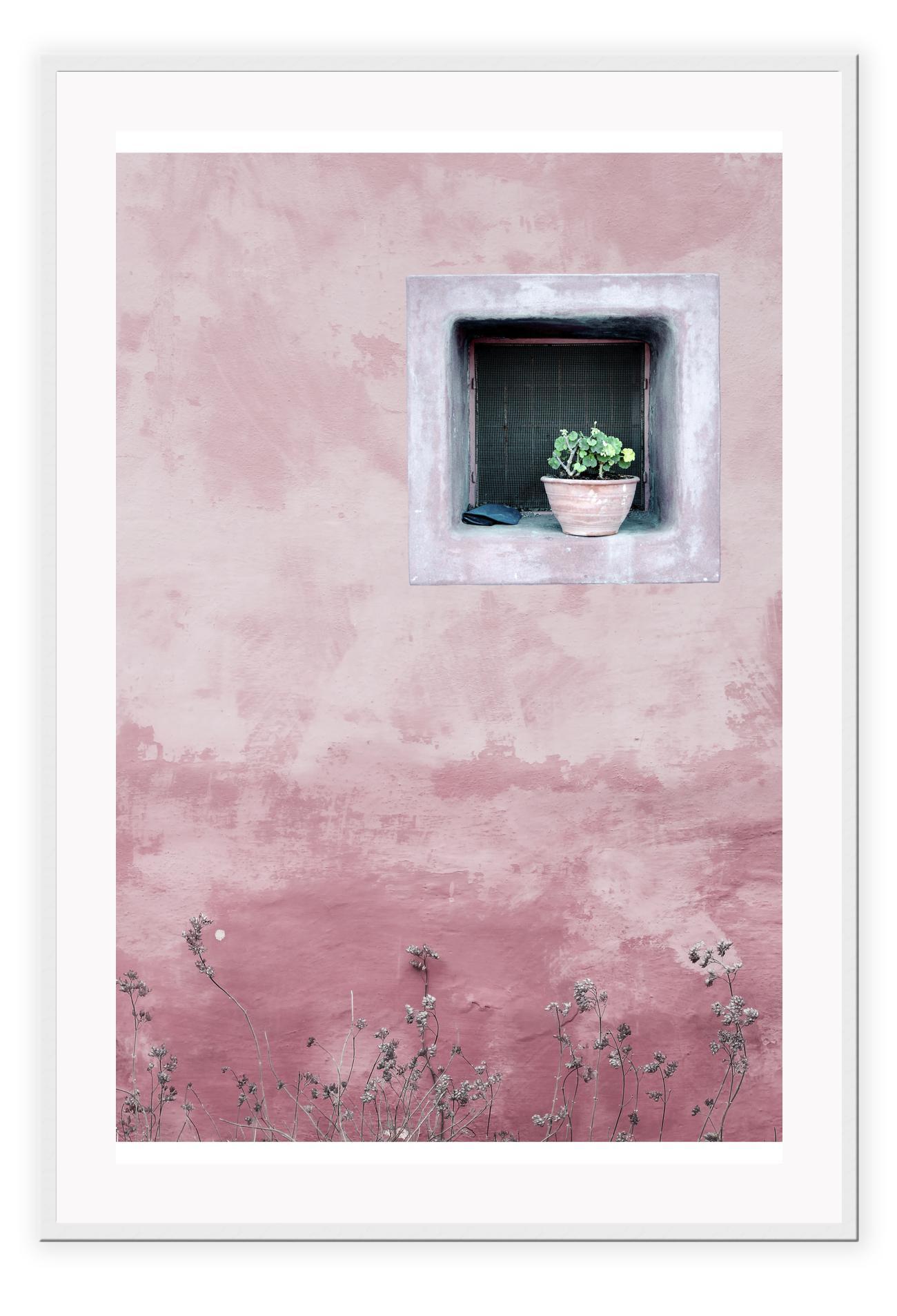 Minimal boho pink window portrait with green succulent in morocco texture architecture 
